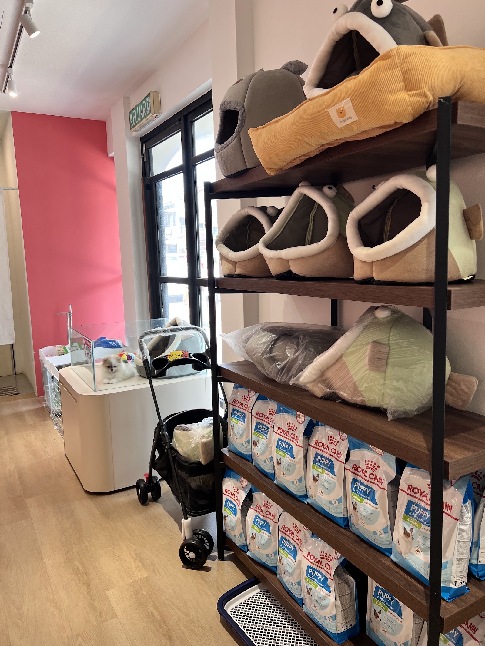 Inside JC Puppy House Penang, shelves stocked with pet food and cosy pet beds